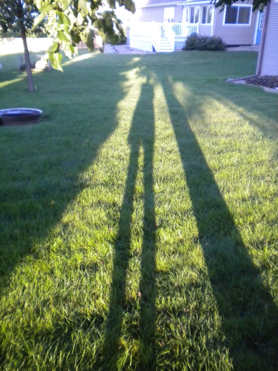 shadows of two people walking through grass in the sunlight