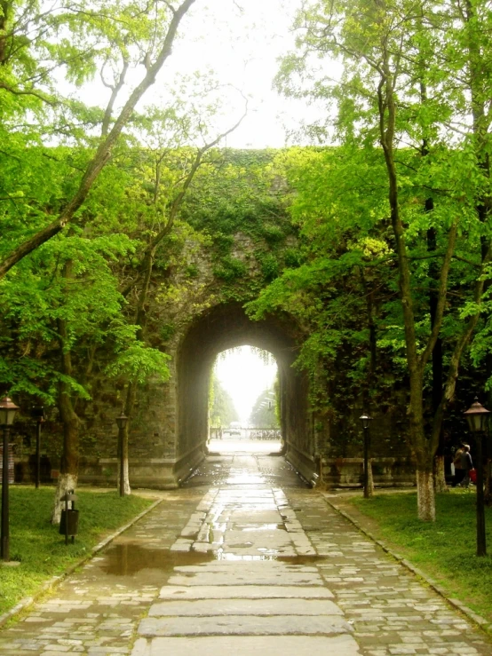 a walkway with an arch and benches under trees