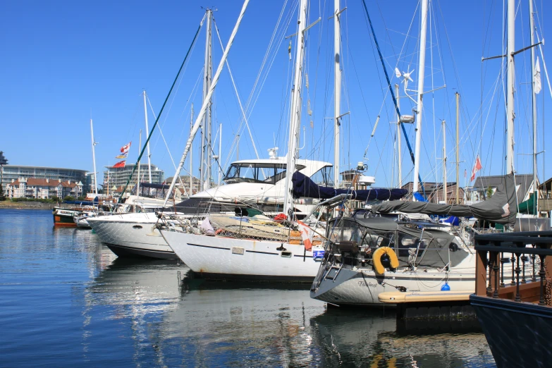 the sailboats are lined up to go in their positions