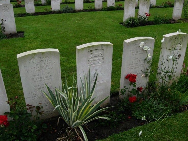 a green grassy area has graves in it