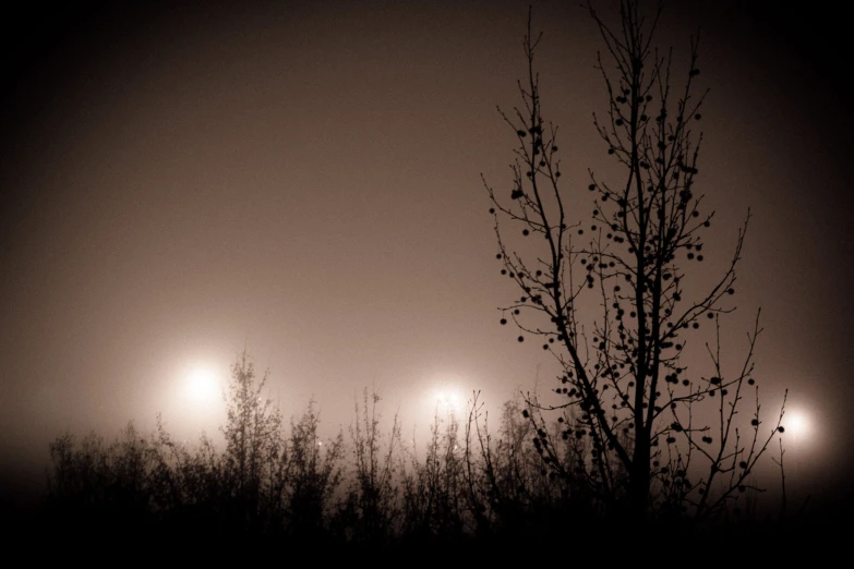 several lamps on a foggy street light pole