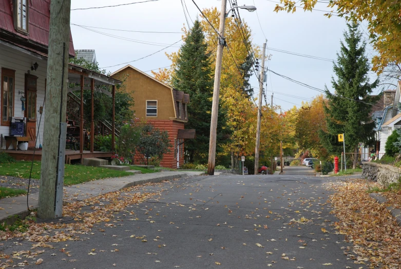a road surrounded by homes in the autumn
