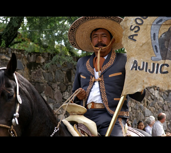 man riding on a horse carrying a sign next to a crowd