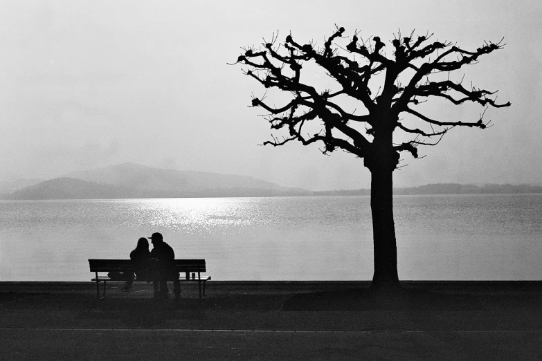 the couple is sitting on the bench under the tree