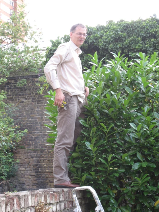a man standing on top of a wall near plants