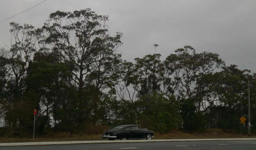 a car on a highway next to trees and a street sign