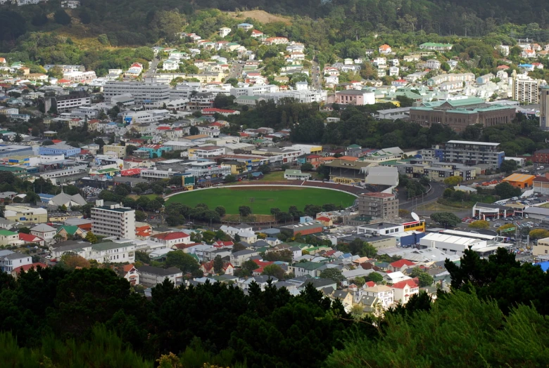 a city has many buildings and trees in front