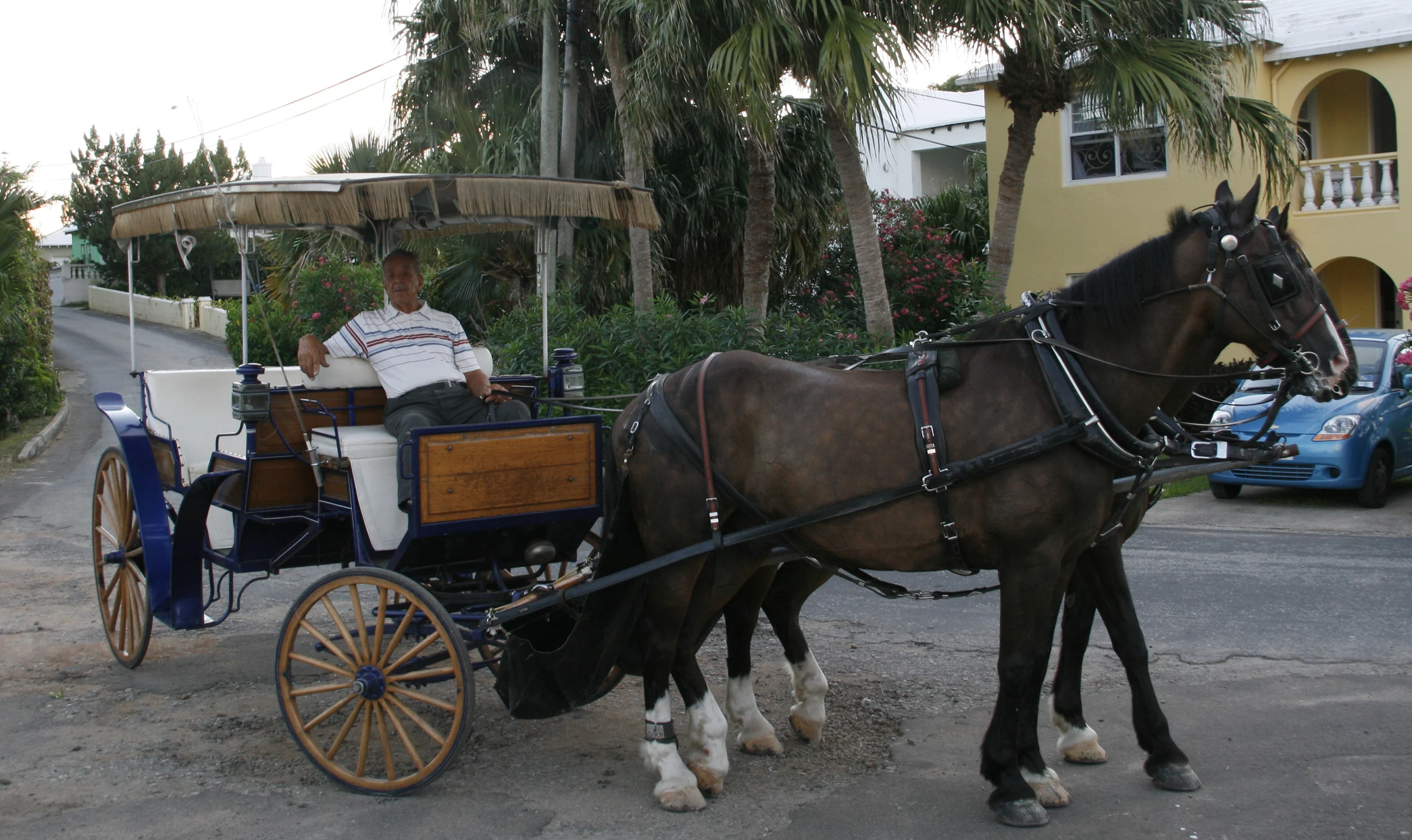 there is a man sitting in a horse drawn carriage