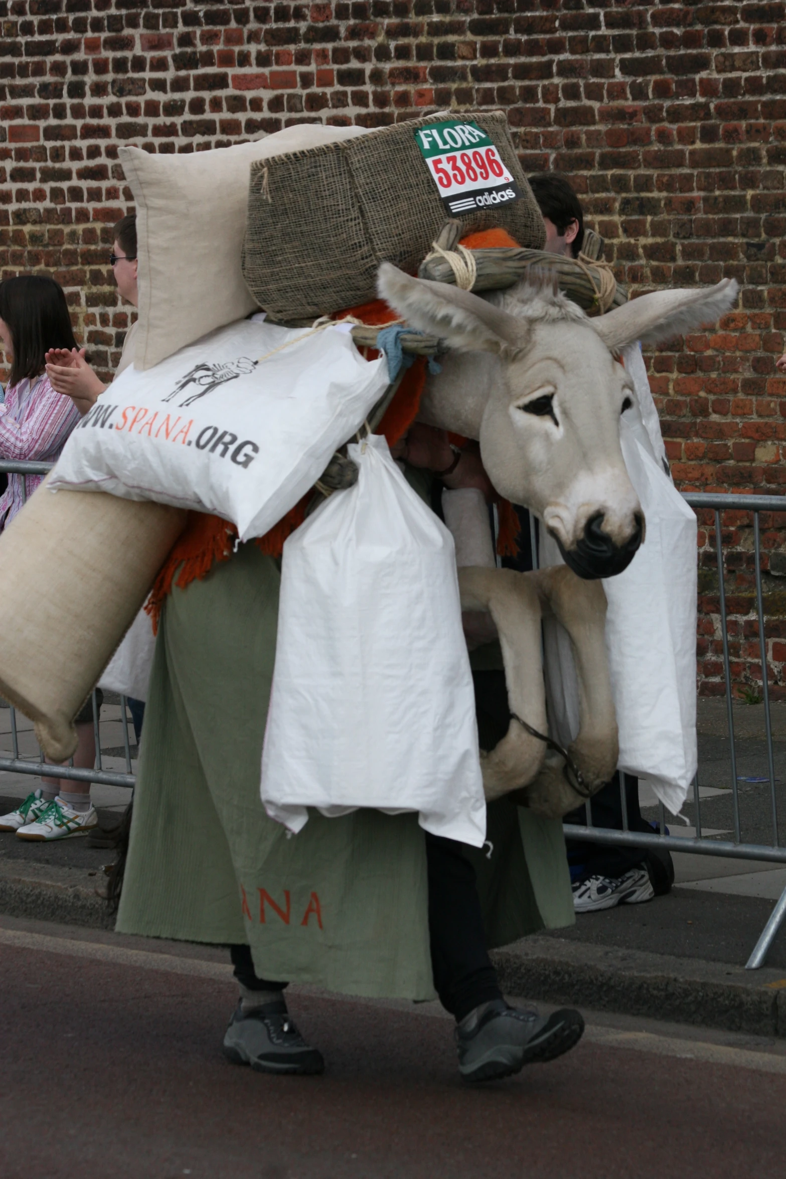 a person walking with a donkey carrying bags