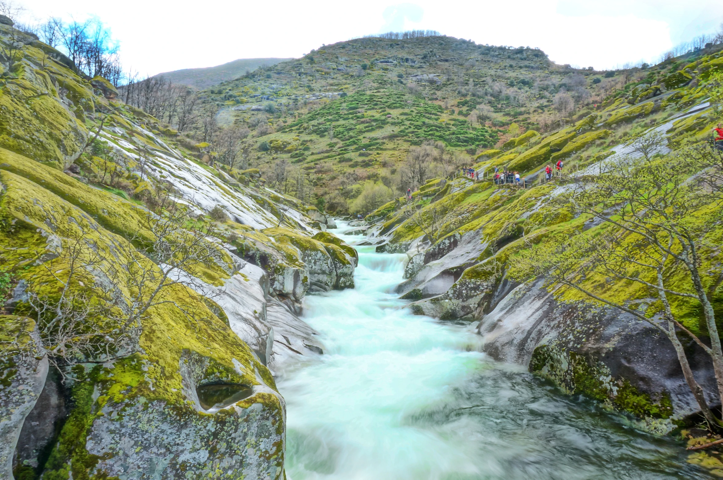 a river is shown with green mossy rocks