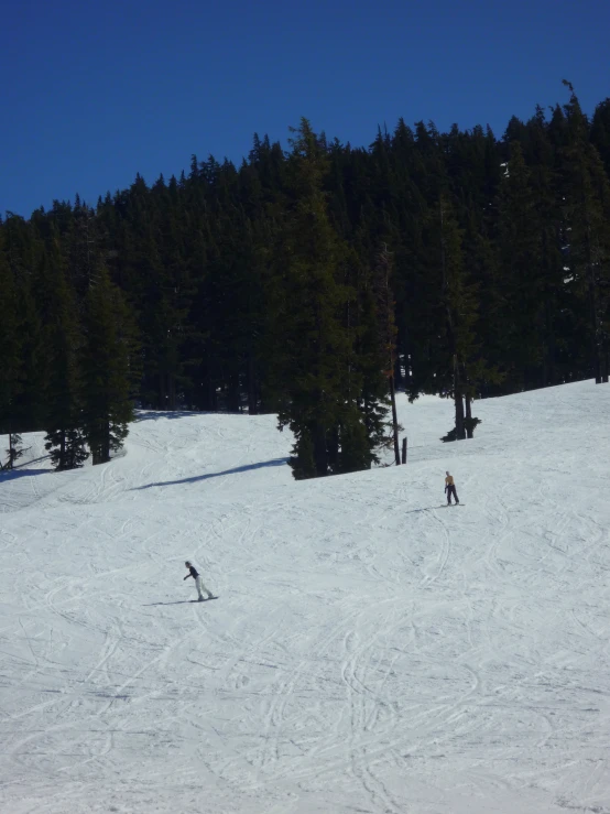 several people skiing in the snow on a hill