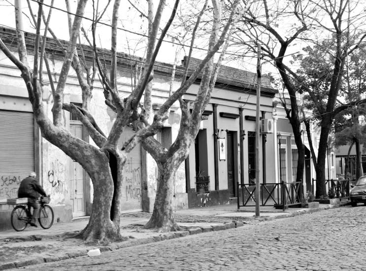 a city street is lined with lots of trees and small building