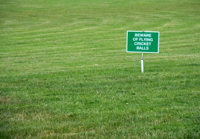 a sign in the grass warning people to leave the king's chicken ball game