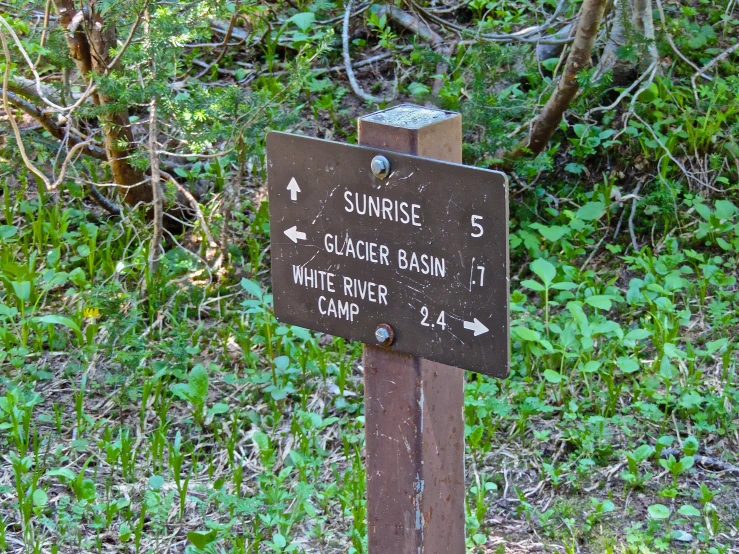 a sign marks the route to a jungle