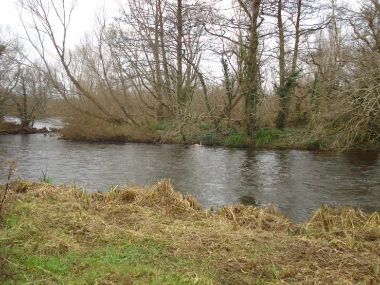 there is a small river that has some water in it