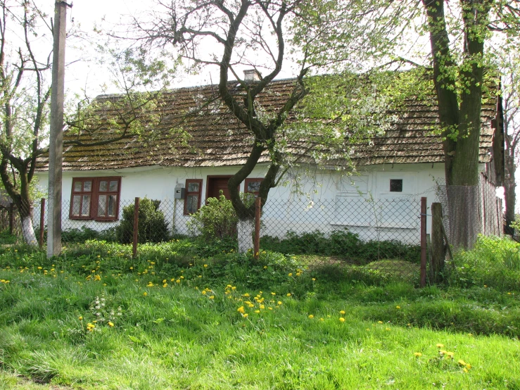 a white cottage with a red window and door