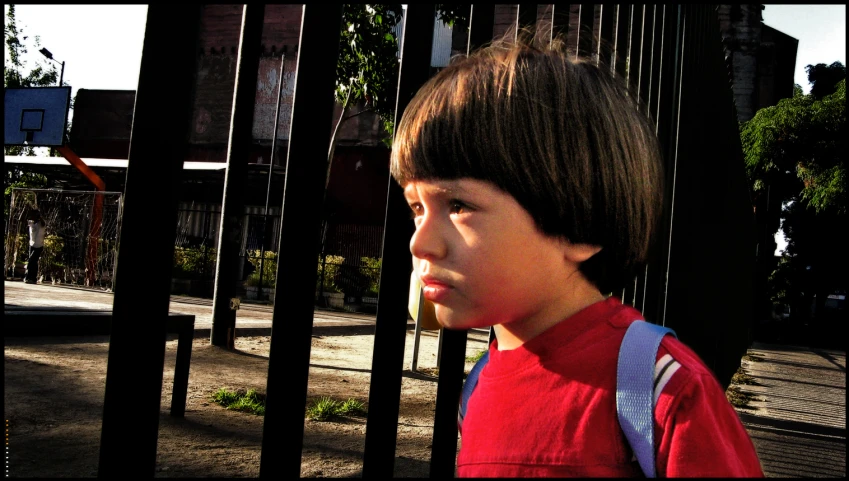 a  looking over a fence on the street