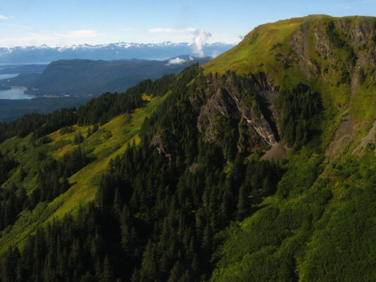 a view of the side of a mountain with many trees