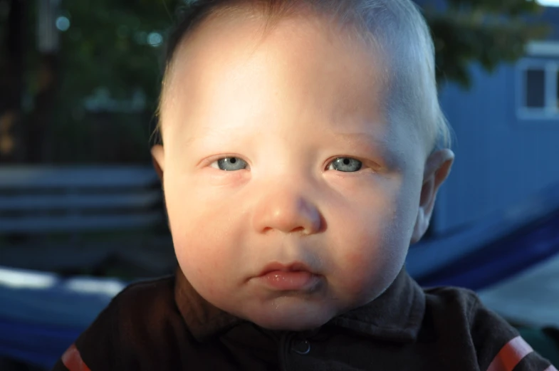 an infant looking at the camera, it's big blue eyes