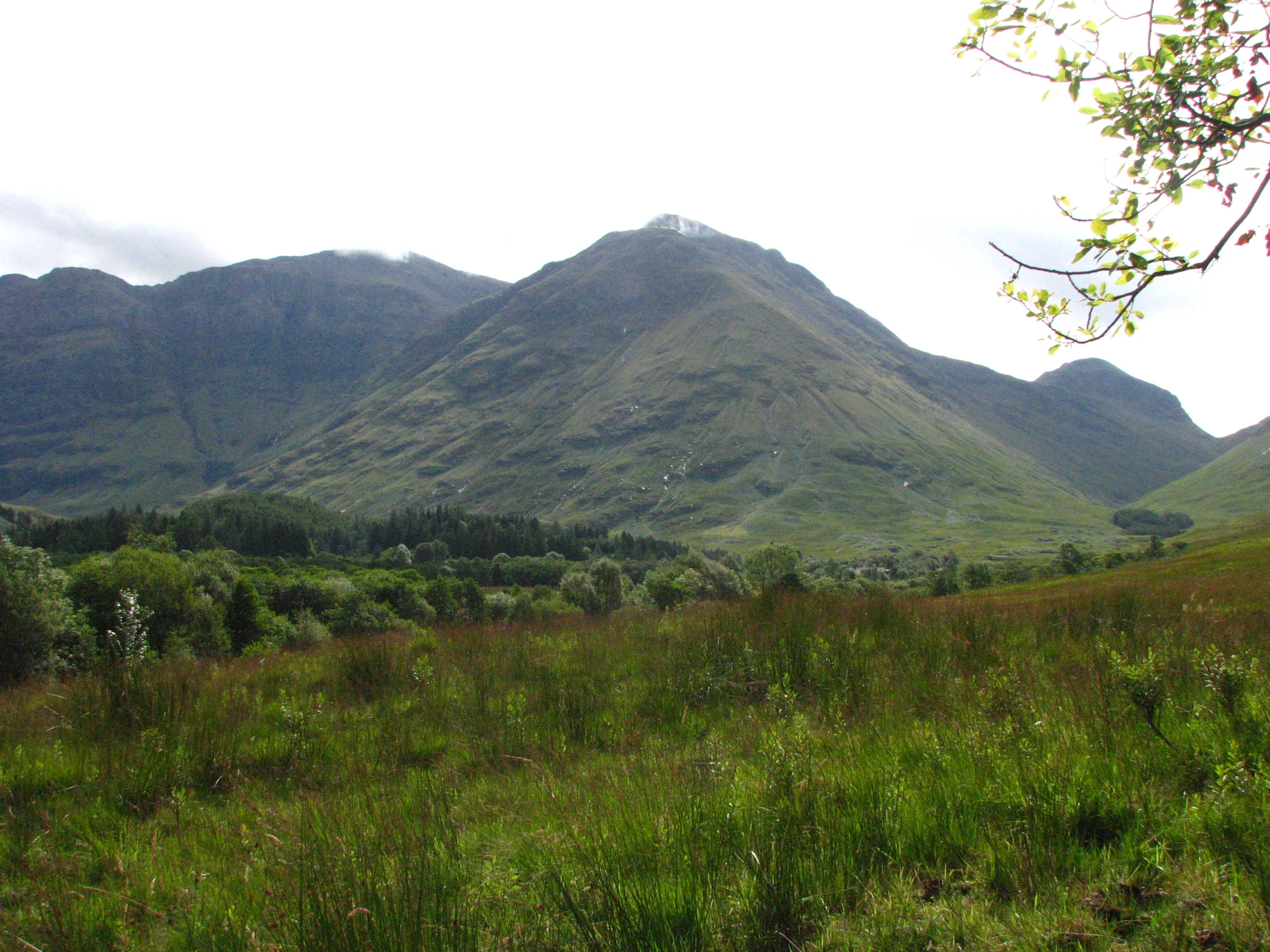 the large mountains have a green field near it