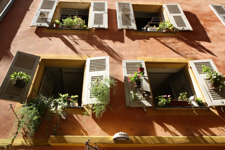 three windows have pots with flowers and a cat on the balcony