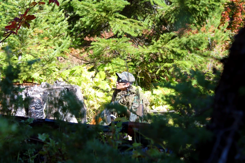 a forest of green trees with a man walking through it