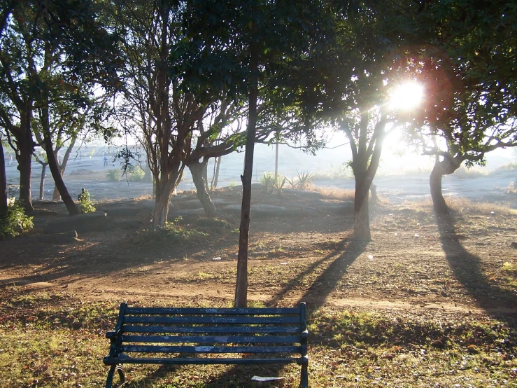 a park bench sitting in the middle of trees