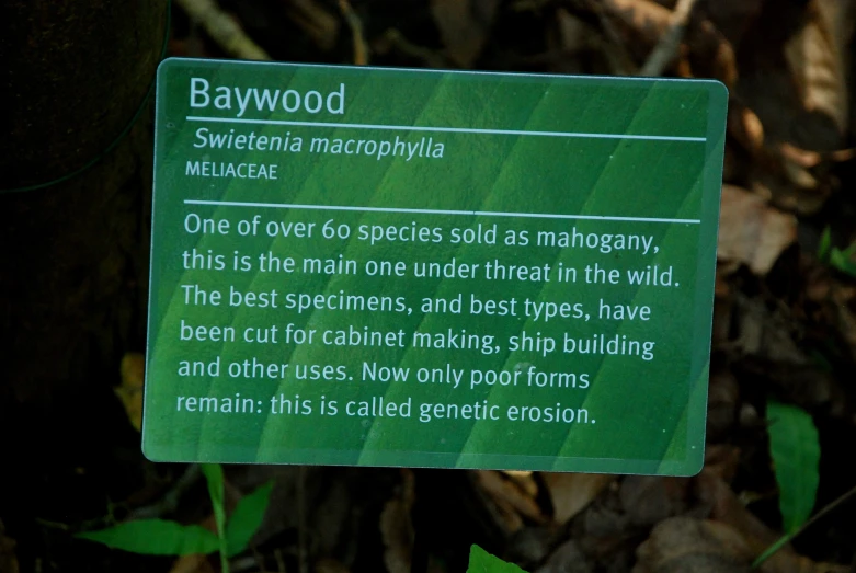 a green sign on the edge of a forest