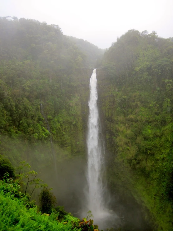 a large waterfall rising out of a lush green forest