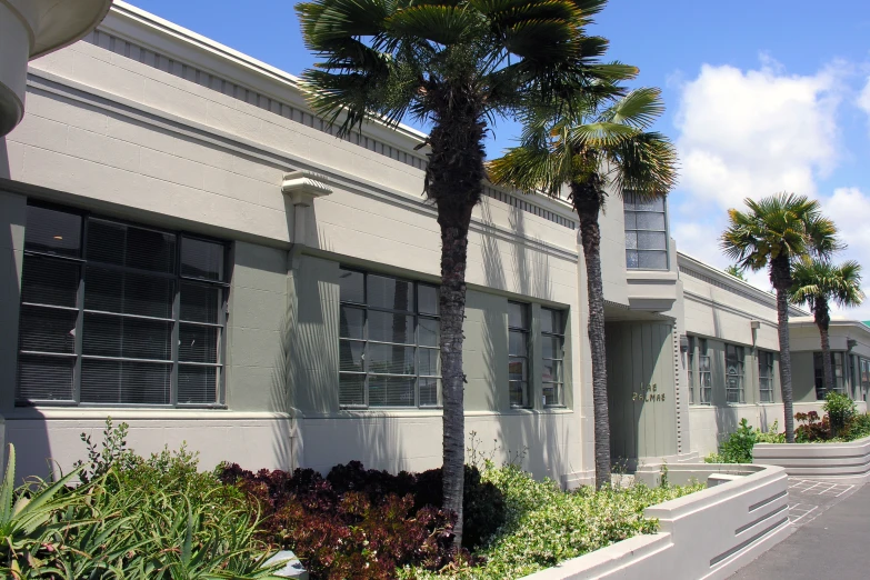 palm trees stand in front of an empty building