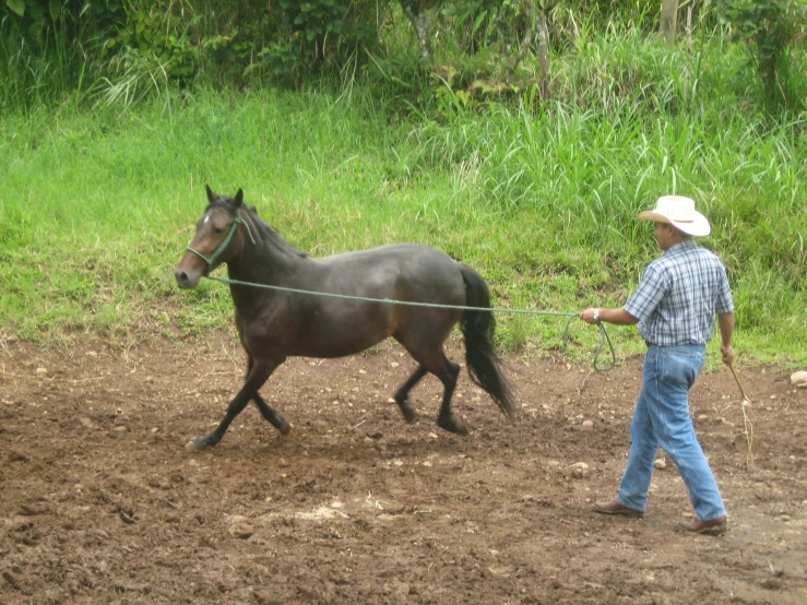 a man leading a horse on a trail