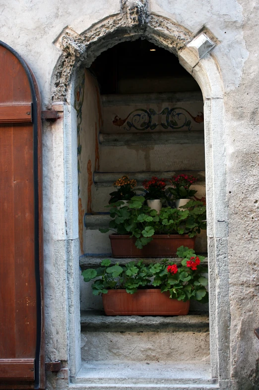 a doorway with many flowers in pots sitting outside