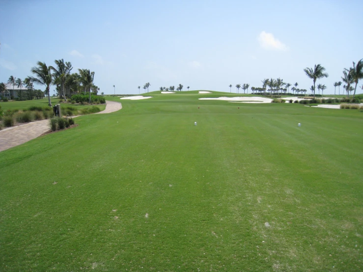 the view down the golf course with trees and palm trees in the background