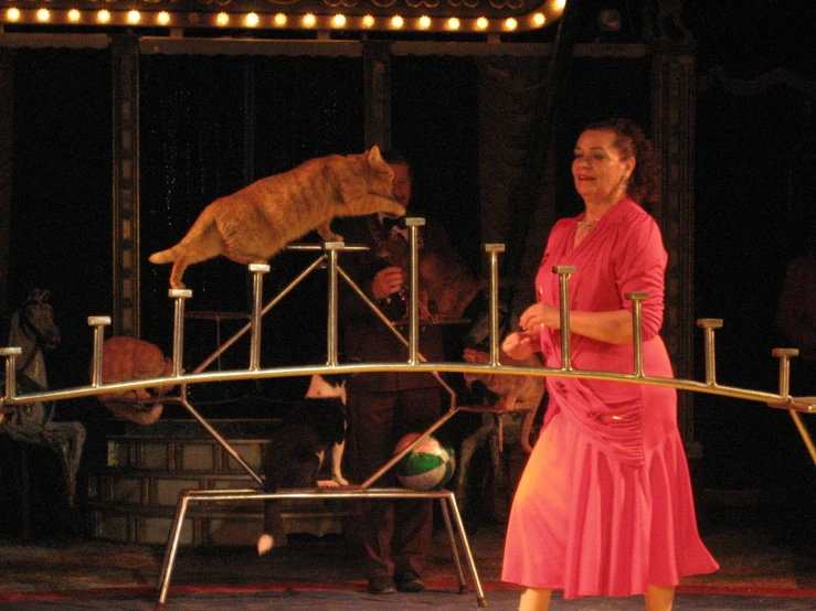 a woman standing next to a cat on top of a bridge