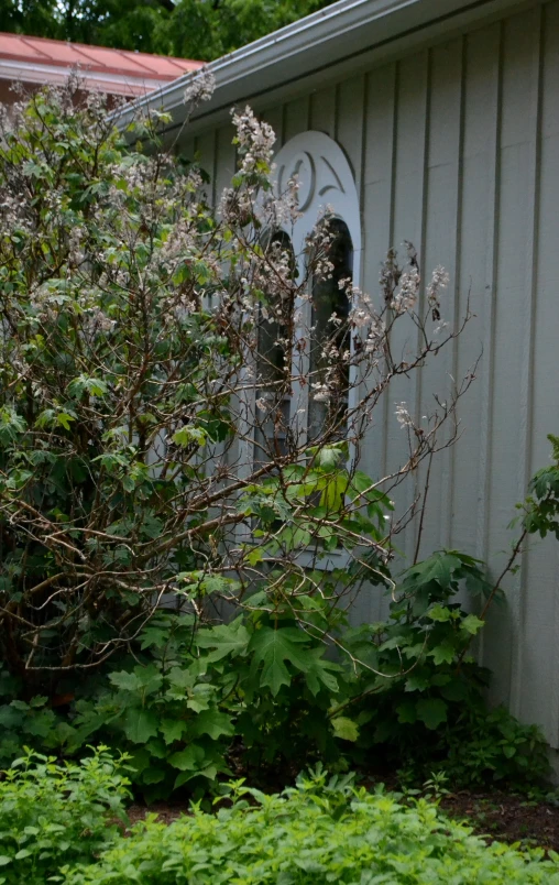 a building and some bushes near by