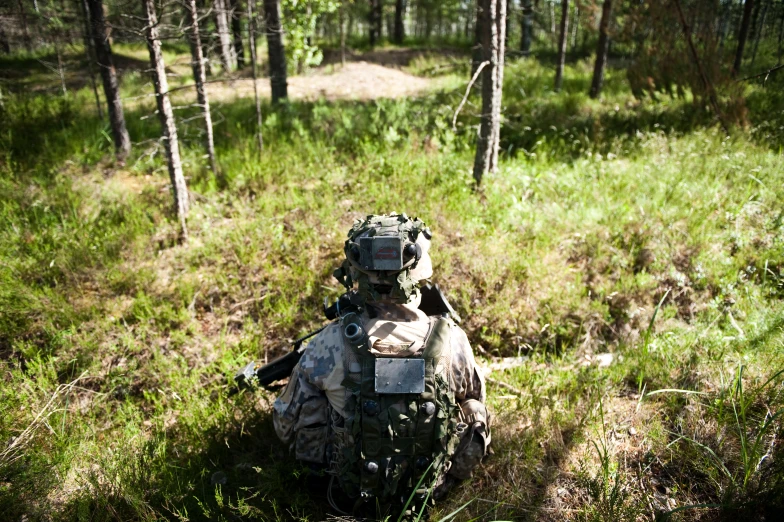 a backpack in the middle of a forest with trees in the background