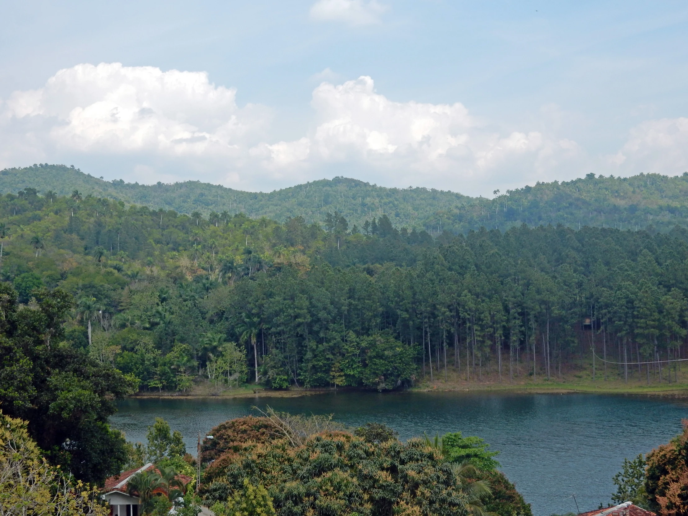 a large body of water surrounded by forested hills