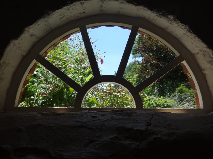 looking outside through an arched window at trees and bushes