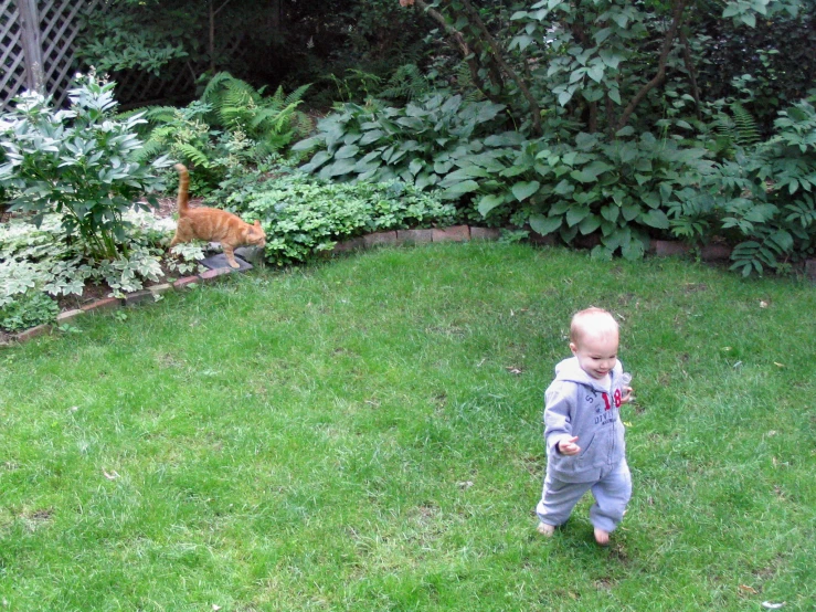 there is a small baby standing on grass and playing