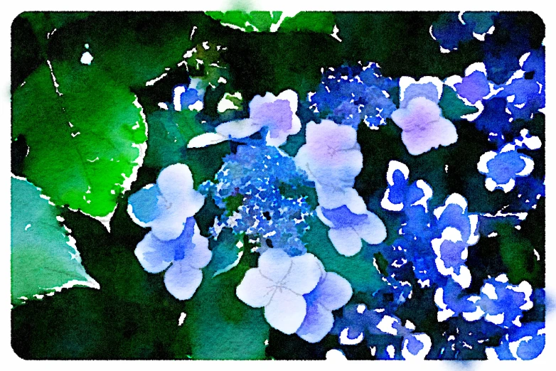 the image shows the flowers in a picture, and is blue