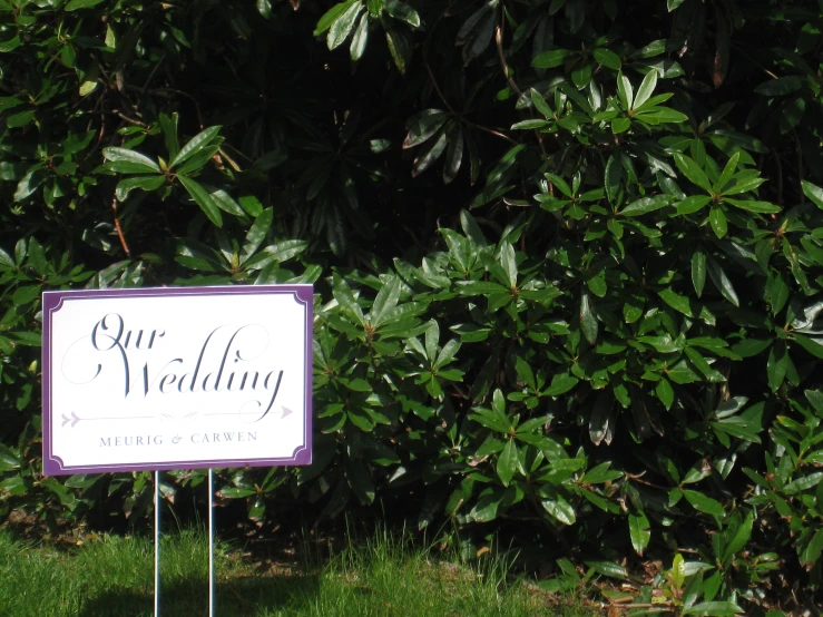 a sign in front of a green bush that says our wedding
