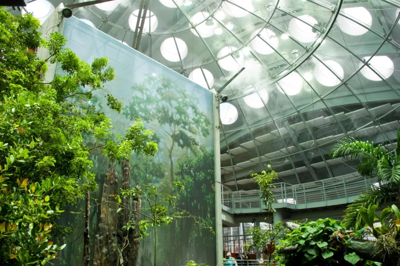 inside view of a large room with plants