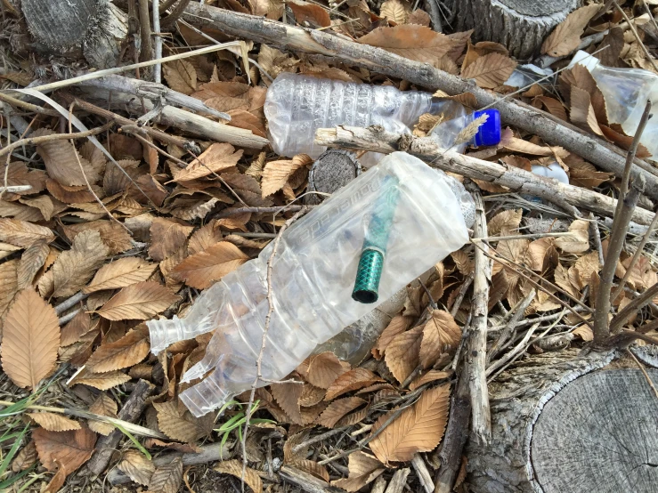 two plastic bottles sitting on the ground on top of leaf covered grass