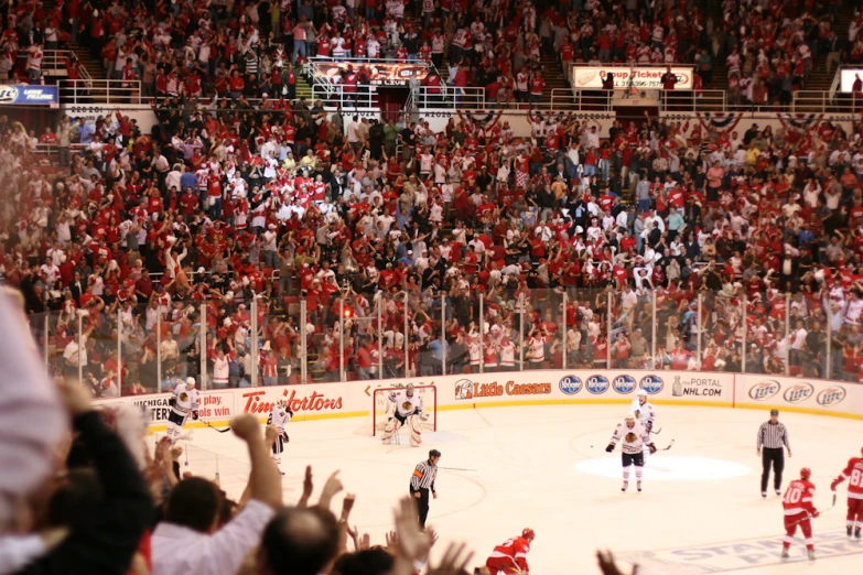 an audience at a hockey game waving to the players