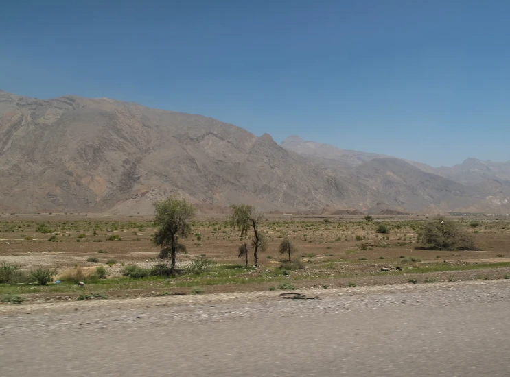 landscape with mountains and trees in the distance