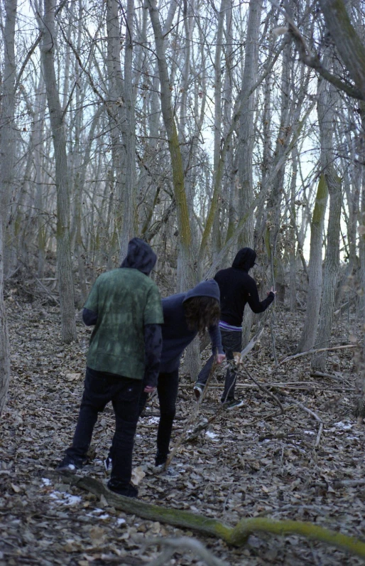 people with skateboards walking through the woods