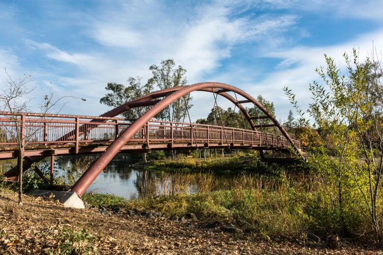 the metal arched bridge crosses over a small pond