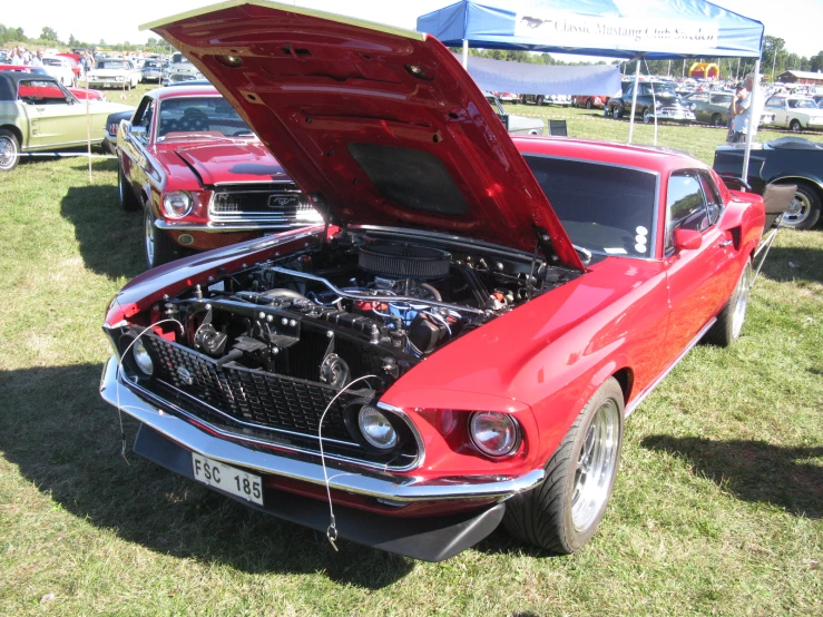 an engine compartment view of the hood of a mustang