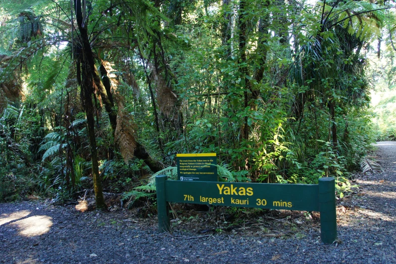 a sign in the middle of the forest reads yakis