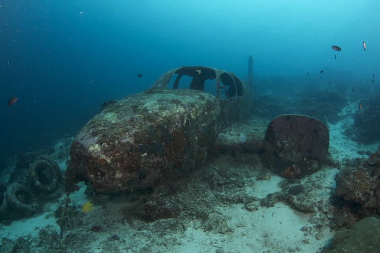 an underwater view of a plane in the sand